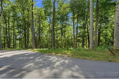 Lot 46 Poplar Forest Drive, Boone, NC 28607 - Photo 1