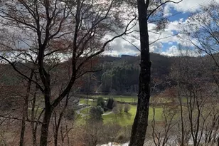 826 River Ridge Rd, Boone, NC 28607 - Photo 5