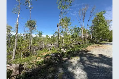 Lot #41 Lost Ridge Trail, Vilas, NC 28692 - Photo 5