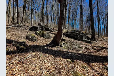 Lot 78 Elk Creek Mountain Parkway, Todd, NC 28684 - Photo 11