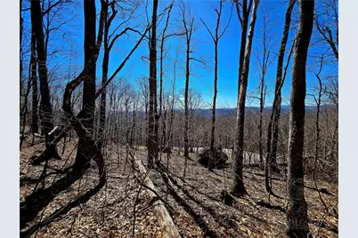 Lot 78 Elk Creek Mountain Parkway, Todd, NC 28684 - Photo 5