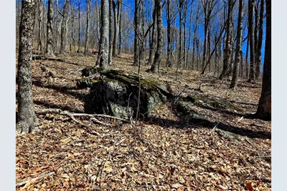 Lot 78 Elk Creek Mountain Parkway, Todd, NC 28684 - Photo 13