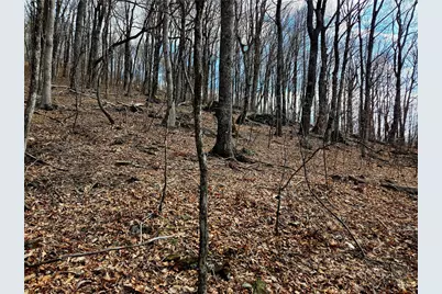 Lot 78 Elk Creek Mountain Parkway, Todd, NC 28684 - Photo 9