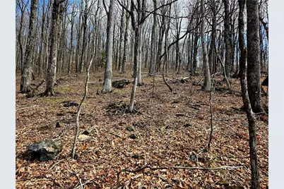Lot 78 Elk Creek Mountain Parkway, Todd, NC 28684 - Photo 19