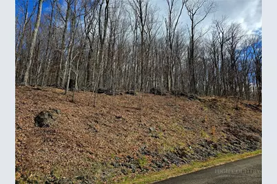 Lot 78 Elk Creek Mountain Parkway, Todd, NC 28684 - Photo 27