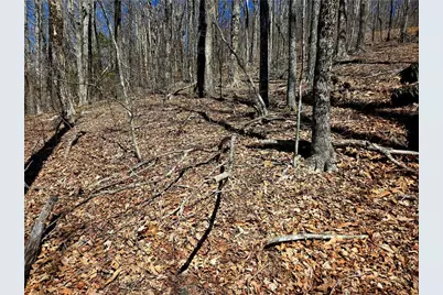 Lot 78 Elk Creek Mountain Parkway, Todd, NC 28684 - Photo 17