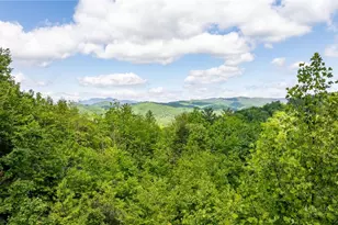 6749 Fire Crest Ln, Lenoir, NC 28645 - Photo 45