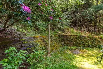 317 Wilderness Trail, Sparta, NC 28675 - Photo 41