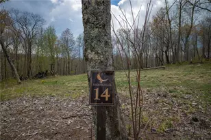 Lot 14 Great Sky Dr, Banner Elk, NC 28604 - Photo 1