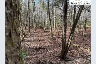 Lot 23 Holly Run, Glade Valley, NC 28627 - Photo 1