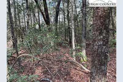 Lot 23 Holly Run, Glade Valley, NC 28627 - Photo 9