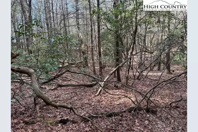 Lot 23 Holly Run, Glade Valley, NC 28627 - Photo 7