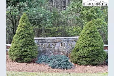 Lot 23 Holly Run, Glade Valley, NC 28627 - Photo 3