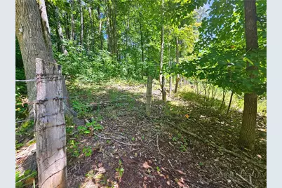211 Arthur G Caudill Rd, West Jefferson, NC 28694 - Photo 37