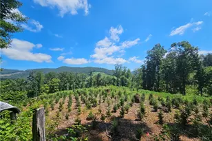 211 Arthur G Caudill Rd, West Jefferson, NC 28694 - Photo 39