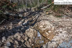 344 & 348 Tumbling Brook Dr, Banner Elk, NC 28604 - Photo 29
