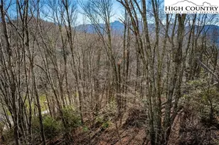 344 & 348 Tumbling Brook Dr, Banner Elk, NC 28604 - Photo 23
