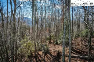 344 & 348 Tumbling Brook Dr, Banner Elk, NC 28604 - Photo 25