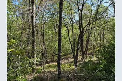Tbd Ski Mountain Road, Blowing Rock, NC 28605 - Photo 3