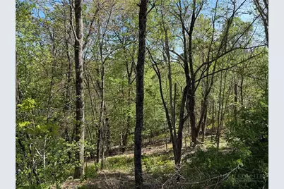 Tbd Ski Mountain Road, Blowing Rock, NC 28605 - Photo 7