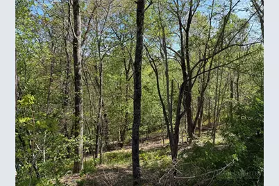Tbd Ski Mountain Road, Blowing Rock, NC 28605 - Photo 13