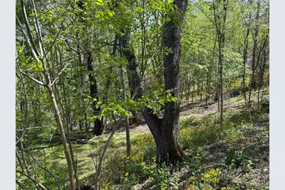 Tbd Ski Mountain Road, Blowing Rock, NC 28605 - Photo 1
