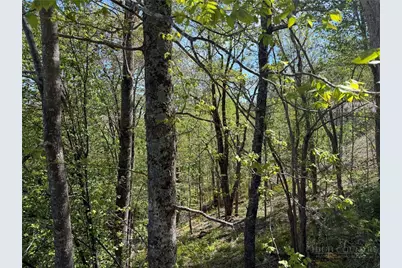 Tbd Ski Mountain Road, Blowing Rock, NC 28605 - Photo 5