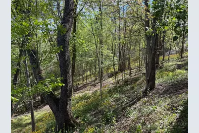Tbd Ski Mountain Road, Blowing Rock, NC 28605 - Photo 9