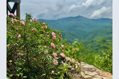 1008 Old Johns River Road, Blowing Rock, NC 28605 - Photo 41