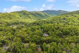 965 Winterstar Loop, Burnsville, NC 28714 - Photo 43