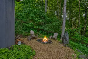 692 Great Sky Dr, Todd, NC 28684 - Photo 43