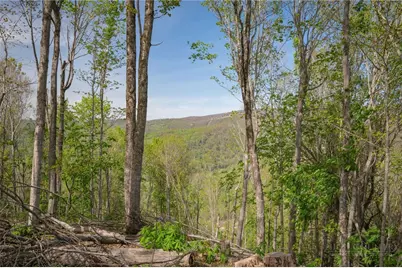 140 Old Forge Trail, Elk Park, NC 28622 - Photo 3
