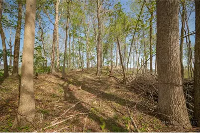 140 Old Forge Trail, Elk Park, NC 28622 - Photo 23