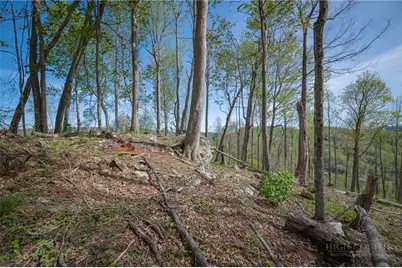 140 Old Forge Trail, Elk Park, NC 28622 - Photo 21