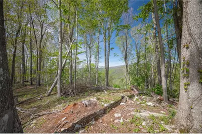 140 Old Forge Trail, Elk Park, NC 28622 - Photo 17