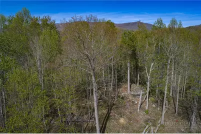 140 Old Forge Trail, Elk Park, NC 28622 - Photo 9