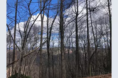 Lot 21 Bobcat Mountain Road, Purlear, NC 28665 - Photo 5