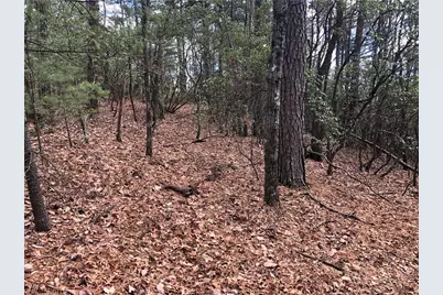 Lot 21 Bobcat Mountain Road, Purlear, NC 28665 - Photo 17