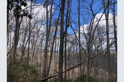 Lot 21 Bobcat Mountain Road, Purlear, NC 28665 - Photo 19