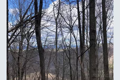 Lot 21 Bobcat Mountain Road, Purlear, NC 28665 - Photo 11
