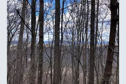 Lot 21 Bobcat Mountain Road, Purlear, NC 28665 - Photo 3