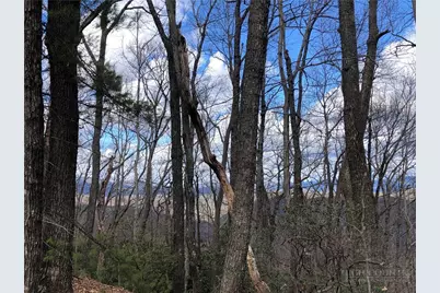 Lot 21 Bobcat Mountain Road, Purlear, NC 28665 - Photo 15