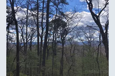 Lot 21 Bobcat Mountain Road, Purlear, NC 28665 - Photo 13
