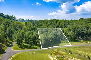 Wr-13 Firethorne Ln, Elk Park, NC 28604 - Photo 1