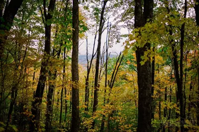 Lot 35 Tynecastle Drive, Banner Elk, NC 28604 - Photo 5