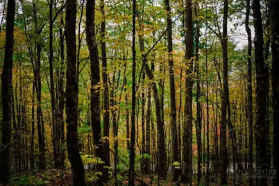 Lot 35 Tynecastle Drive, Banner Elk, NC 28604 - Photo 25
