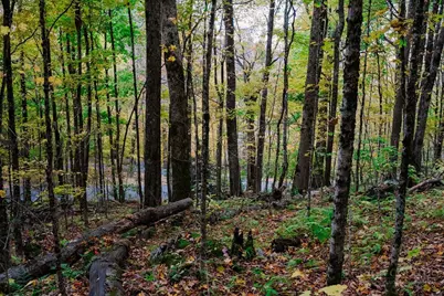Lot 35 Tynecastle Drive, Banner Elk, NC 28604 - Photo 13