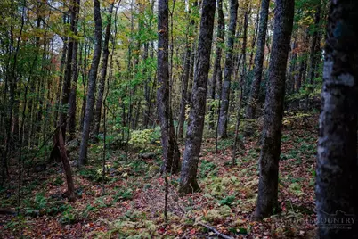 Lot 35 Tynecastle Drive, Banner Elk, NC 28604 - Photo 19