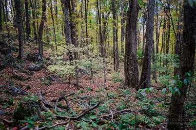 Lot 35 Tynecastle Drive, Banner Elk, NC 28604 - Photo 23