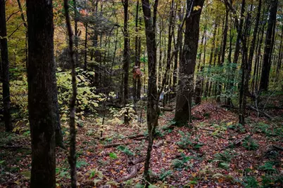 Lot 35 Tynecastle Drive, Banner Elk, NC 28604 - Photo 17